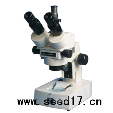 �B�m(x��)׃���wҕ�@΢�R XTZ-E2