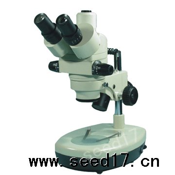 �B�m(x��)׃���wҕ�@΢�R PXS-E