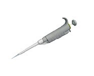 �քӆε����{��Һ�� 