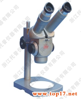 �B�m(x��)׃���wҕ�@΢�R���pĿ�� XTT