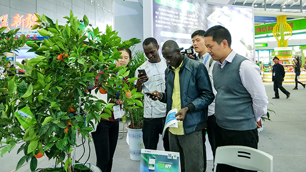 �������r���������ͼ��g�ɹ����õ��ˬF�������L�͵��Pע�c�ڴ�