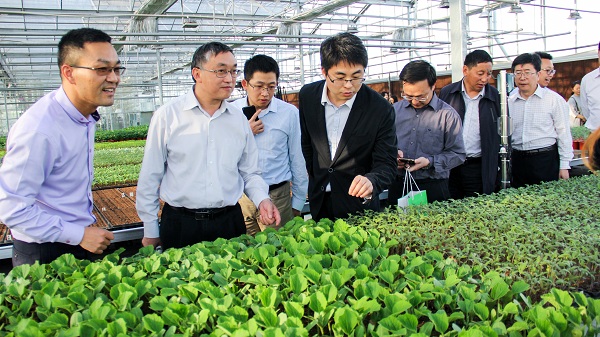 ������ͨ�^�֙C�˲鿴�����x��y����x��O(ji��n)�y�D���A(y��)����(sh��)��(j��)