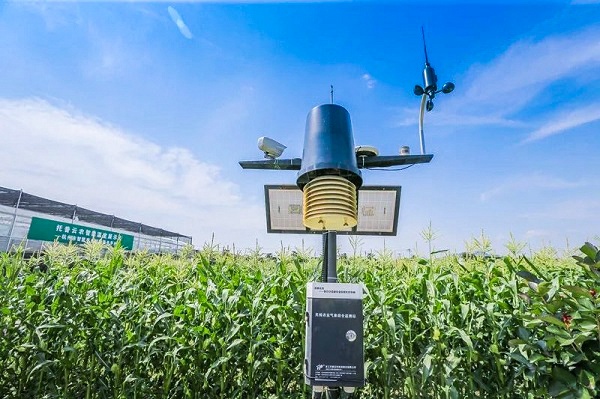 ����O�y�C��վ