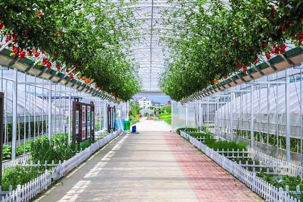 �����L��