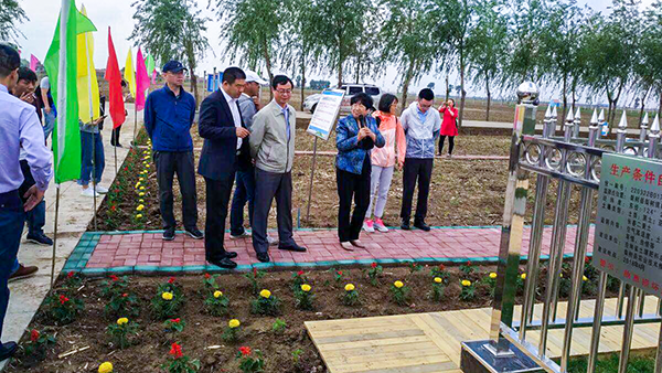 �c���I�����^���h�����|���c�����ر��oʾ���^�O�y�c