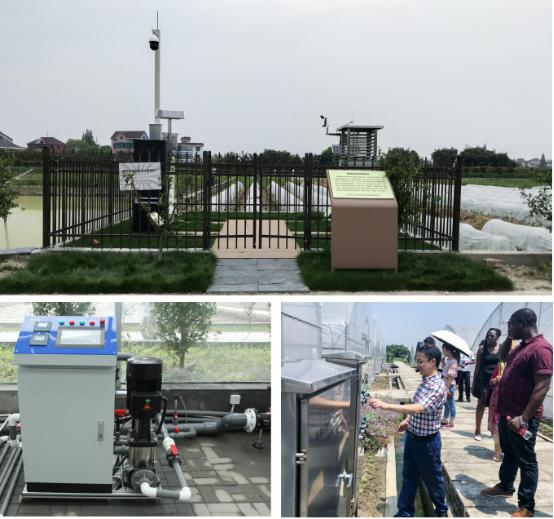 ʒɽ�F(xi��n)���r(n��ng)�I(y��)ʾ������