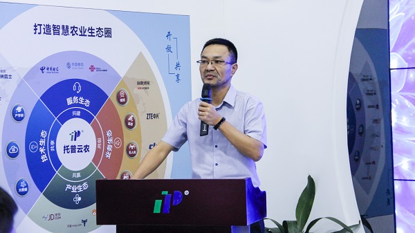 ���ꖿ������vԒ