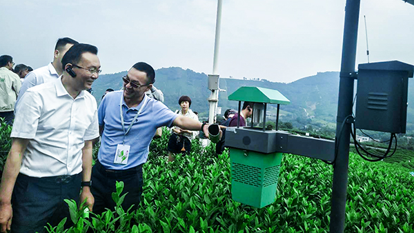 ����(y��ng)�����L(zh��ng)������������ν�B(li��n)�W(w��ng)���L(f��ng)��ʽ���x(ch��ng)��