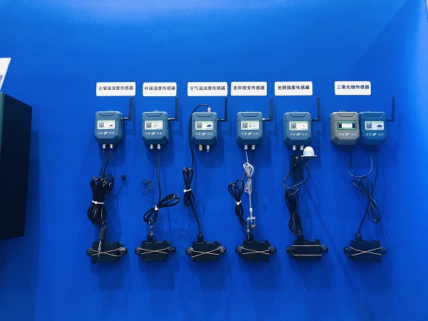 �r�I���܂����O��