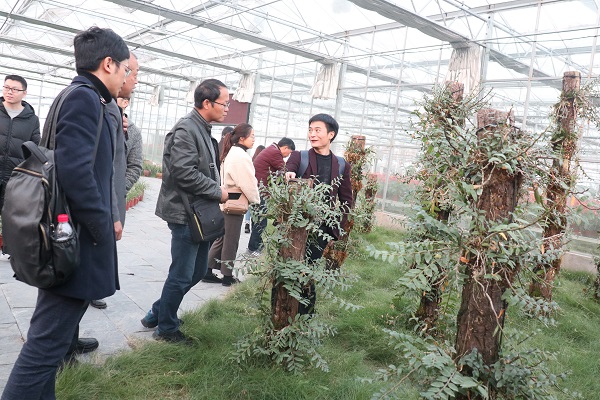 ��Ӗ�����^�������r�R�ֻ���