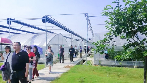 ��Ӗ(x��n)����������ʒɽ�^(q��)�r(n��ng)�����R�ֻ���