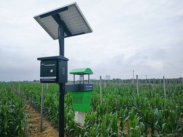 �L��ʽ���x��