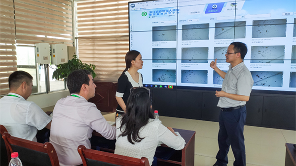 �����A���������c���킃���@�x��y�����뽻��