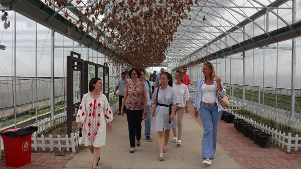 ���ް�һ���ڬF���r�I�a�I�@�F���^Ħ5