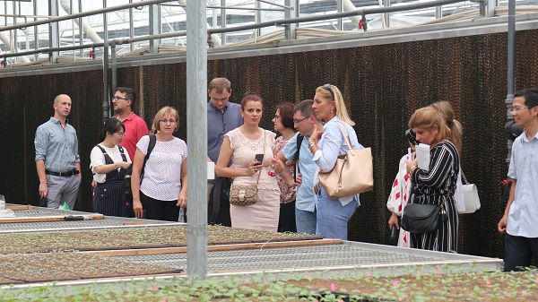 ���ް�һ���ڬF���r�I�a�I�@�F���^Ħ4