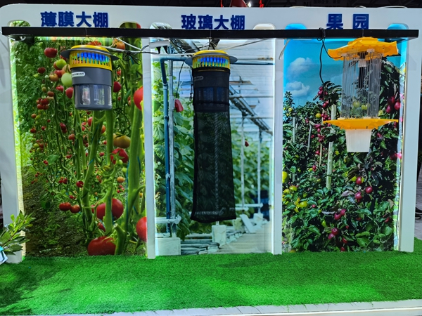 ��@�����@���������Gɫ�����O��