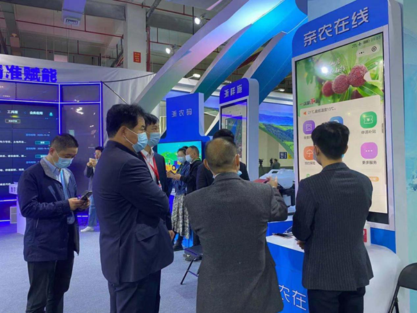 �㽭�r�I�r��d�ƶ��۸��d�L ȡ���H�r�ھ������P�R��