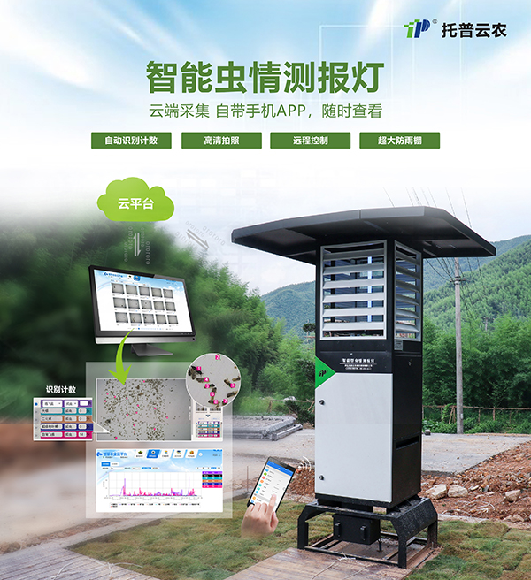 �����x��y(c��)��(b��o)����׃���y(t��ng)ֲ���y(c��)��(b��o)��ʽ