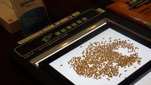 AI�D���R(sh��)�e���g(sh��)�Ƅ�(d��ng)��׃���N���Ђ��y(t��ng)������ʽ