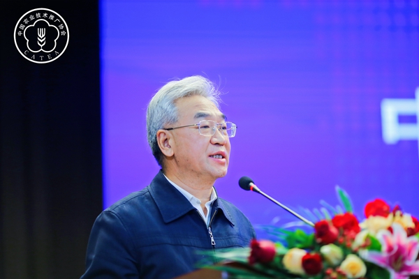 ȫ���r����������κ�������o