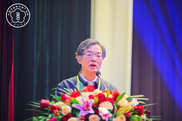 ȫ���r���������긱�������x��Ƹ��������