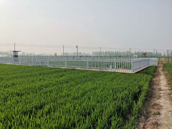 �������r�c���Kֲ��ֲ�zվ�����w�r�����ĺ������������f�h