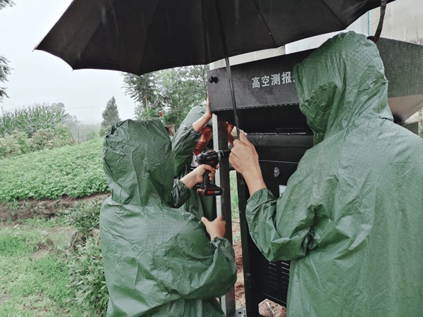 ����(w��)Ⱥ��