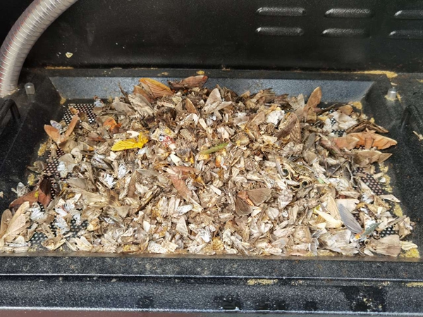 �C(j��)���T����ɺ���x�w�����֣�