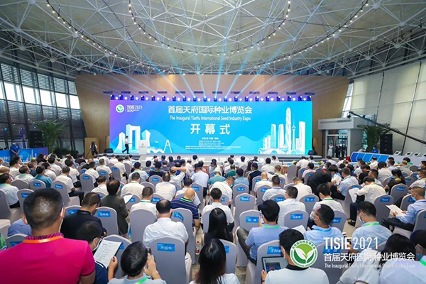 �׌óɶ��츮���H�N�I���[�����_