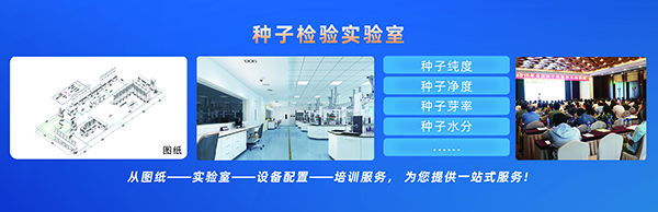 �N�әz򞌍���