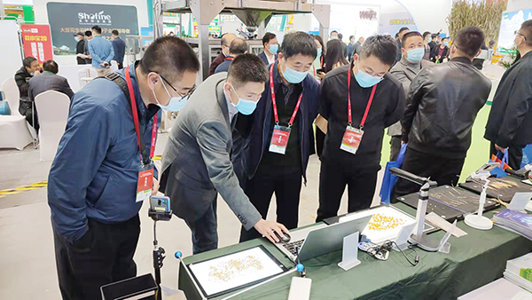 ���I�������W�R�������rչλ