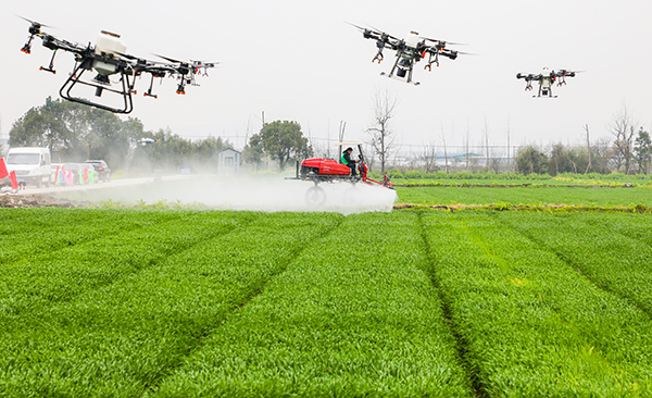 �������֡��o���r(n��ng)��(ch��ng)��