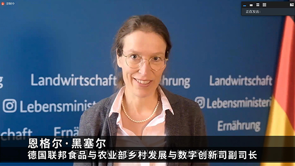 �е����r�I��Q������ӑ��