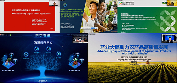 �е����r�I��Q������ӑ��