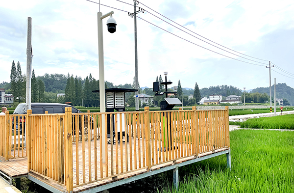 �R��̫�悔��ֻ��ߘ˜��r����D