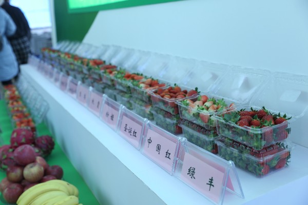 �ƽ���F��