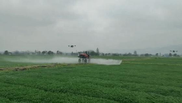 �r(n��ng)�C(j��)����