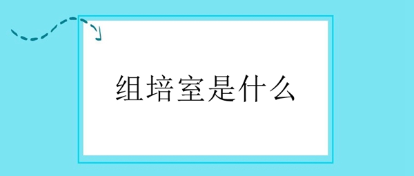 �M������ʲô