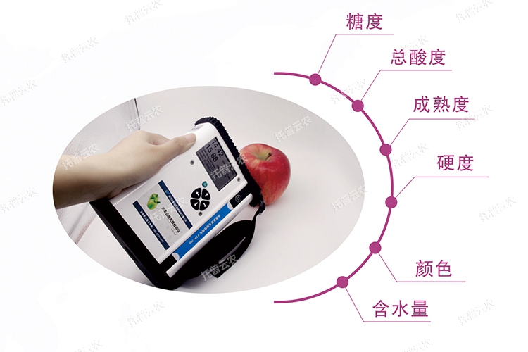 ˮ��Ʒ�|(zh��)�o�p�z�y�x