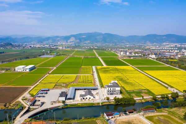 ����������֔��ִ���