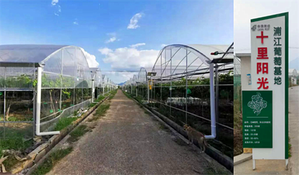 ���A�ֽ��������r����