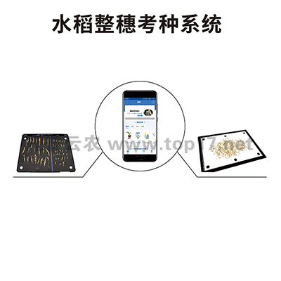 ˮ�����뿼�N�x TPDS-X-1 plus