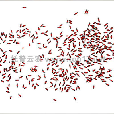 ˮ������