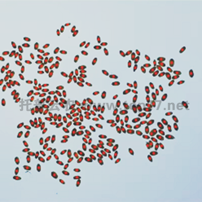 С������