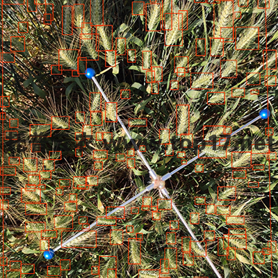 ���딵�y��