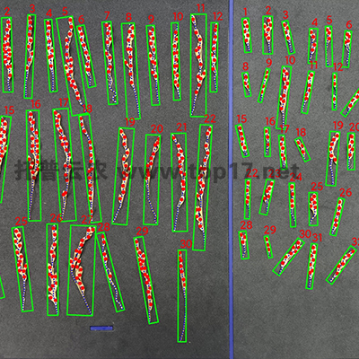 ˮ�����뿼�Nϵ�y