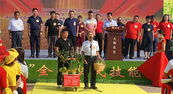 �����t�F��չʾ������