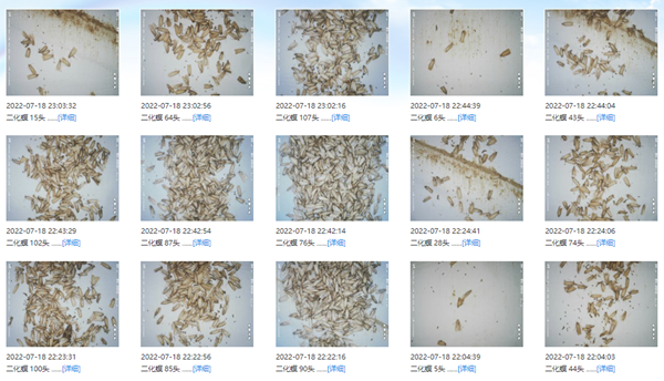 ƽ�_�x��O(ji��n)��