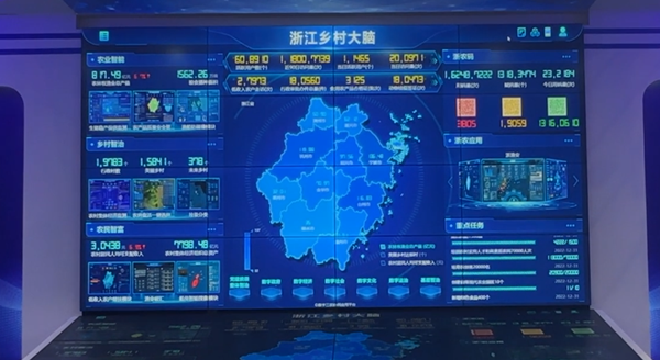 �㽭�l����X