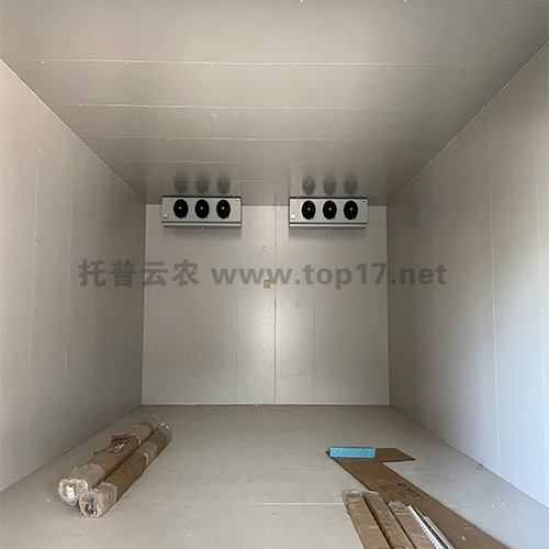 �pʮ������g ����